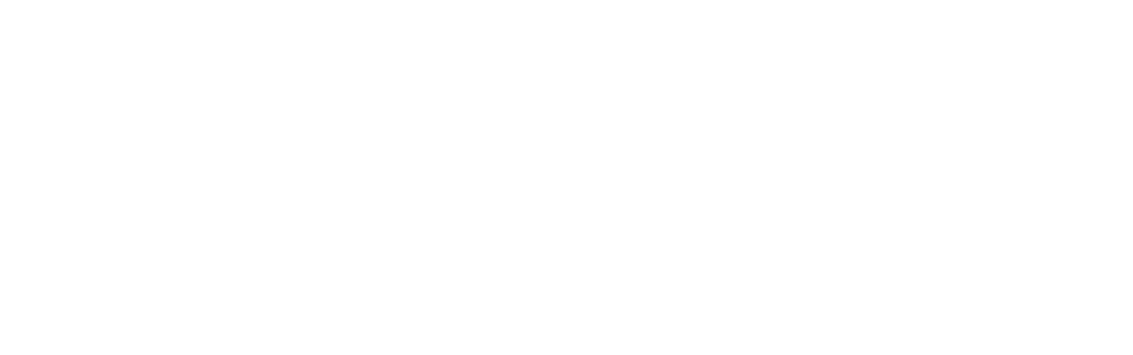 Synectic logo